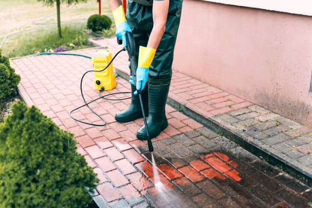 Best Restaurant Pressure Washing  in Palmview, TX